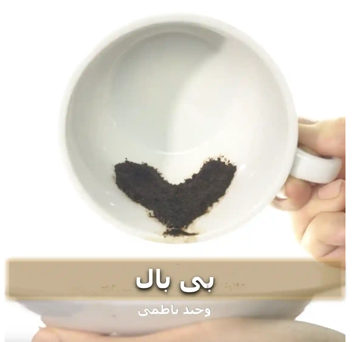 کاور ترانه بی بال