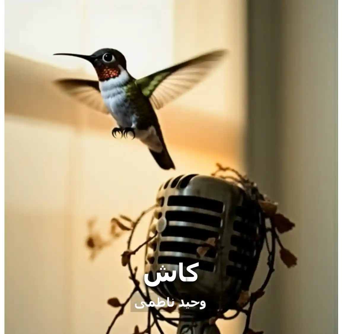 کاور ترانه کاش
